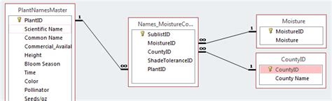 access add junction table